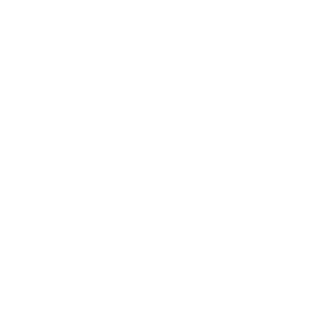 Influencer Strategists
